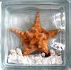 Стеклоблок Vitrablok декоративный бесцветный с наполнением внутри морская звезда оранж мт_001 б