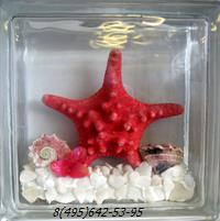 Стеклоблок Vitrablok декоративный бесцветный с наполнением внутри морская звезда красная мт_001 в